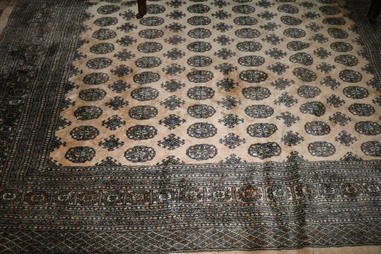 Medallion rug